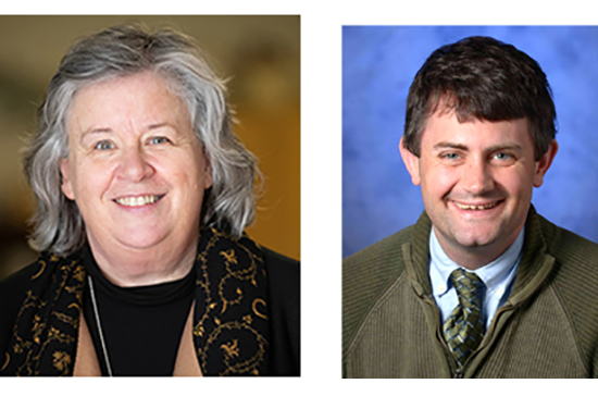 March 3 webinar: "Wellsprings of support for vocations" in campus and young adult ministry 